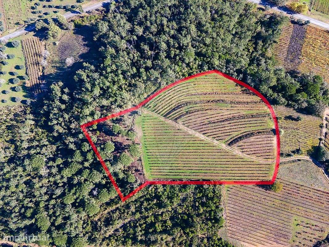 Terreno  para venda - Grande imagem: 5/26