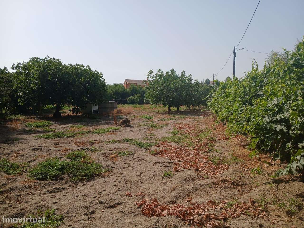 Quinta - Grande imagem: 5/16