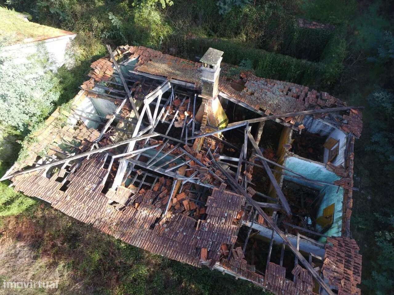 Quinta Palmaz Oliveira de Azeméis - Grande imagem: 5/24