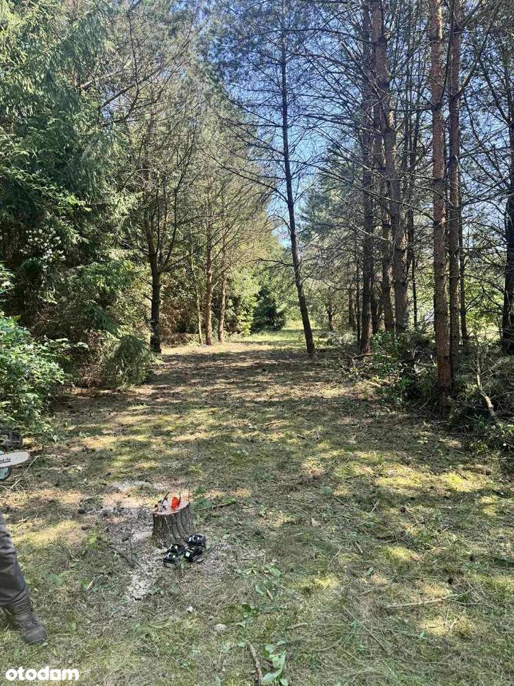 Duża działka 9855 m² z liną brzegową, przy lesie. - Pełny obrazek: 2/6