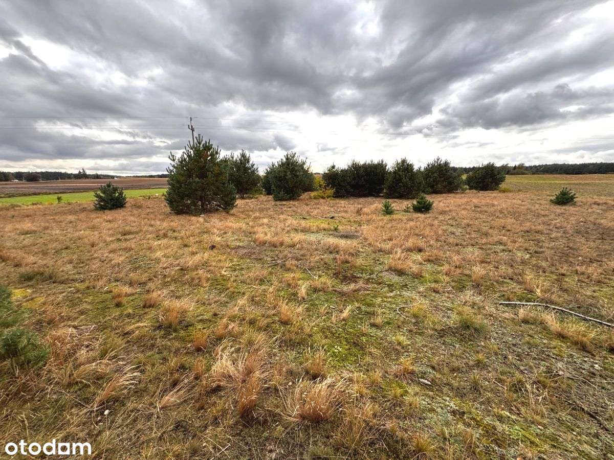 Iwiec Cekcyn budowlana - Pełny obrazek: 4/7