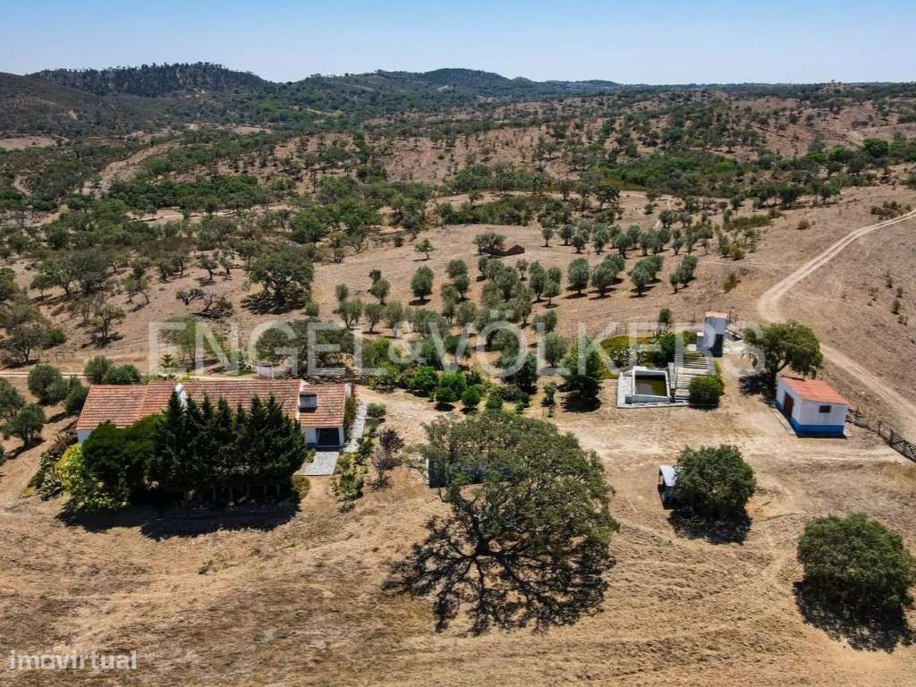 Monte na Serra de Grândola-3
