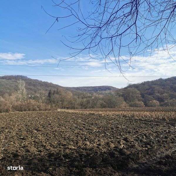 Teren agricol de vanzare  1 Ha - Imagine principală: 3/8