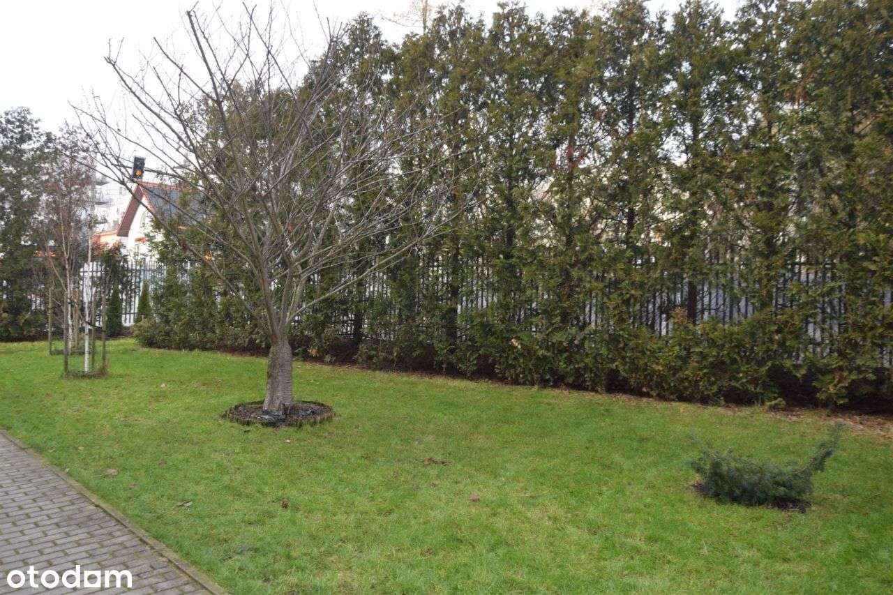 z tarasem Klimatyczne 37,20m,K.Kołłątajowskiej.2001r,Dzwoń.-12