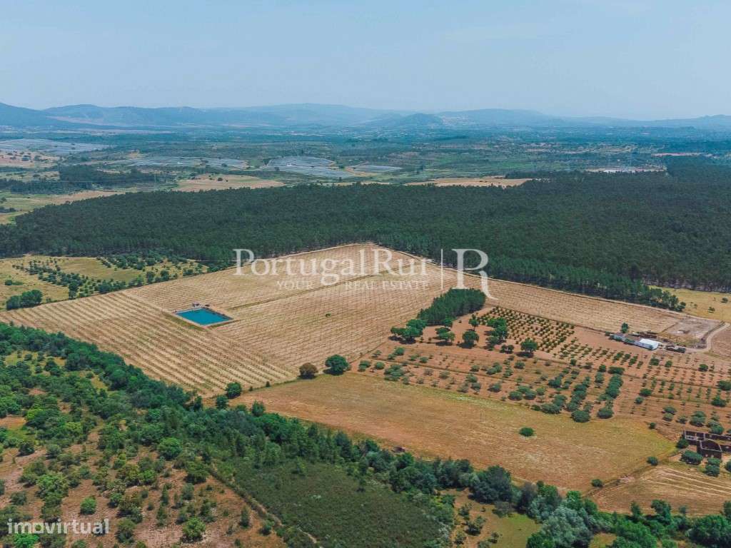 Quinta Exclusiva de Pistacho - 12 Hectares | Investimento Agrícola ... - Grande imagem: 5/19