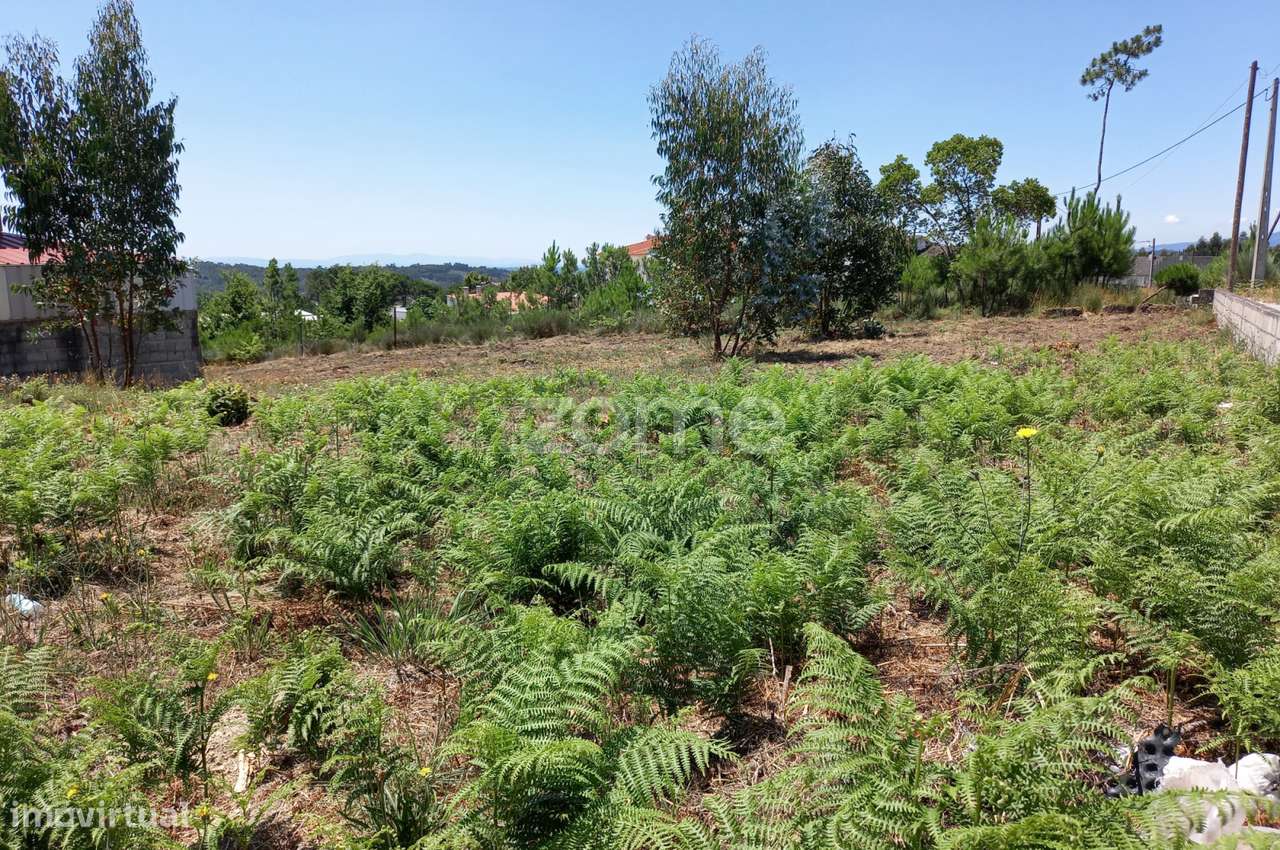 Terreno - Grande imagem: 4/8