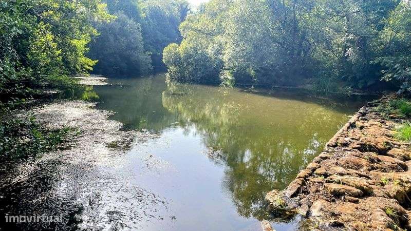 Vendo terreno com viabilidade de construção de moradia - Grande imagem: 3/6