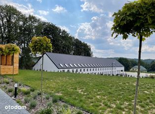 HOTEL, pensjonat, sala, KLINIKA, plan zdjęciowy