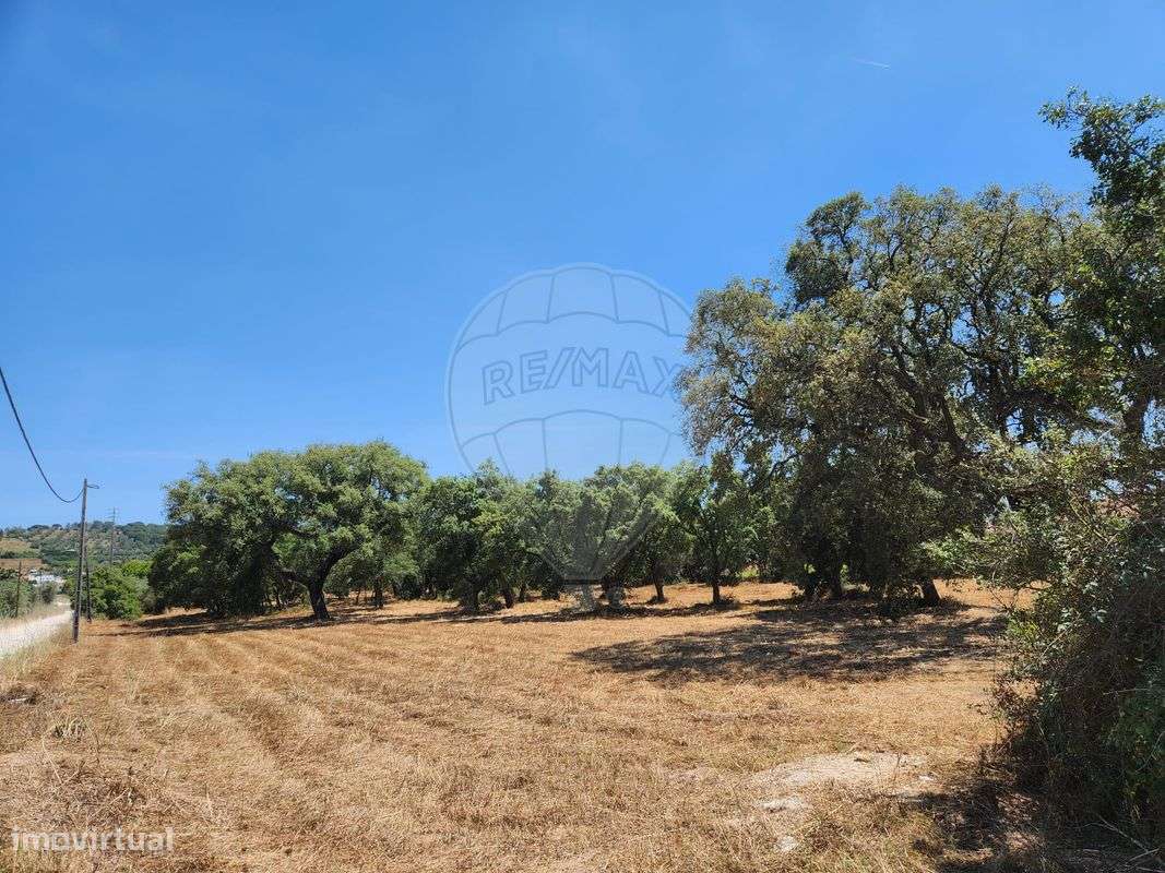 Terreno  para venda-11