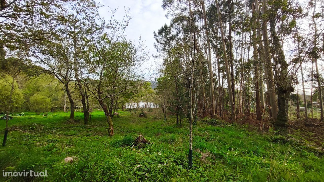 Terreno com projeto aprovado em Afife, Viana do Castelo