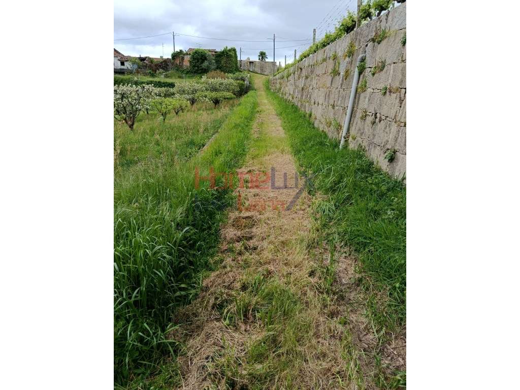 Quinta com Projeto para Turismo Rural em São Pedro do Sul-29