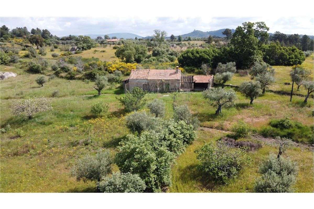 Quinta T0 para venda - Grande imagem: 2/36