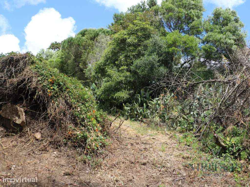 À VENDA: Lote com vista mar em Malveira da Serra - localização elev...-19
