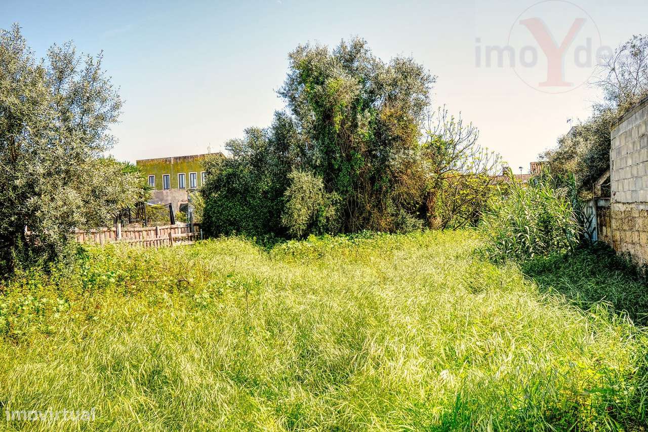 Terreno em Ermidas Sado-9