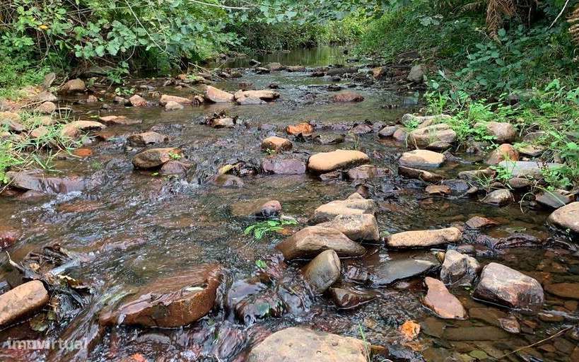 Terreno Rústico - Grande imagem: 5/6
