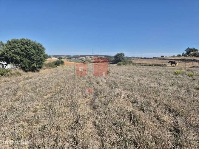 Terreno rústico em Lourinhã-4