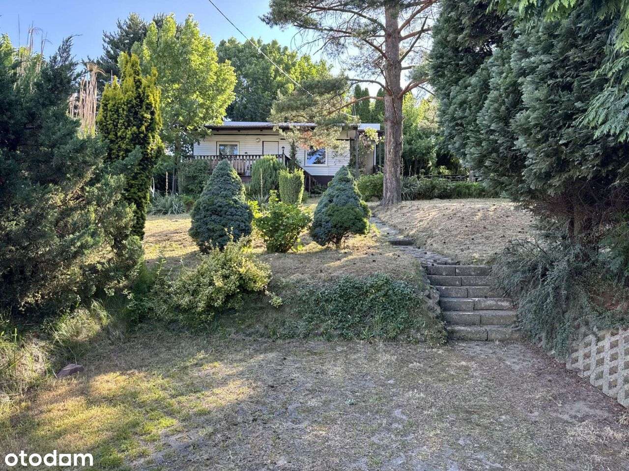 Domek letniskowy z piękną działką wśród zieleni-1