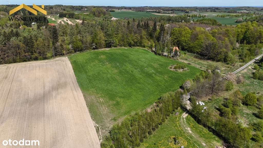 Działki 1,49ha, z pozwoleniem na budowę, Ogrodniki - Pełny obrazek: 4/7