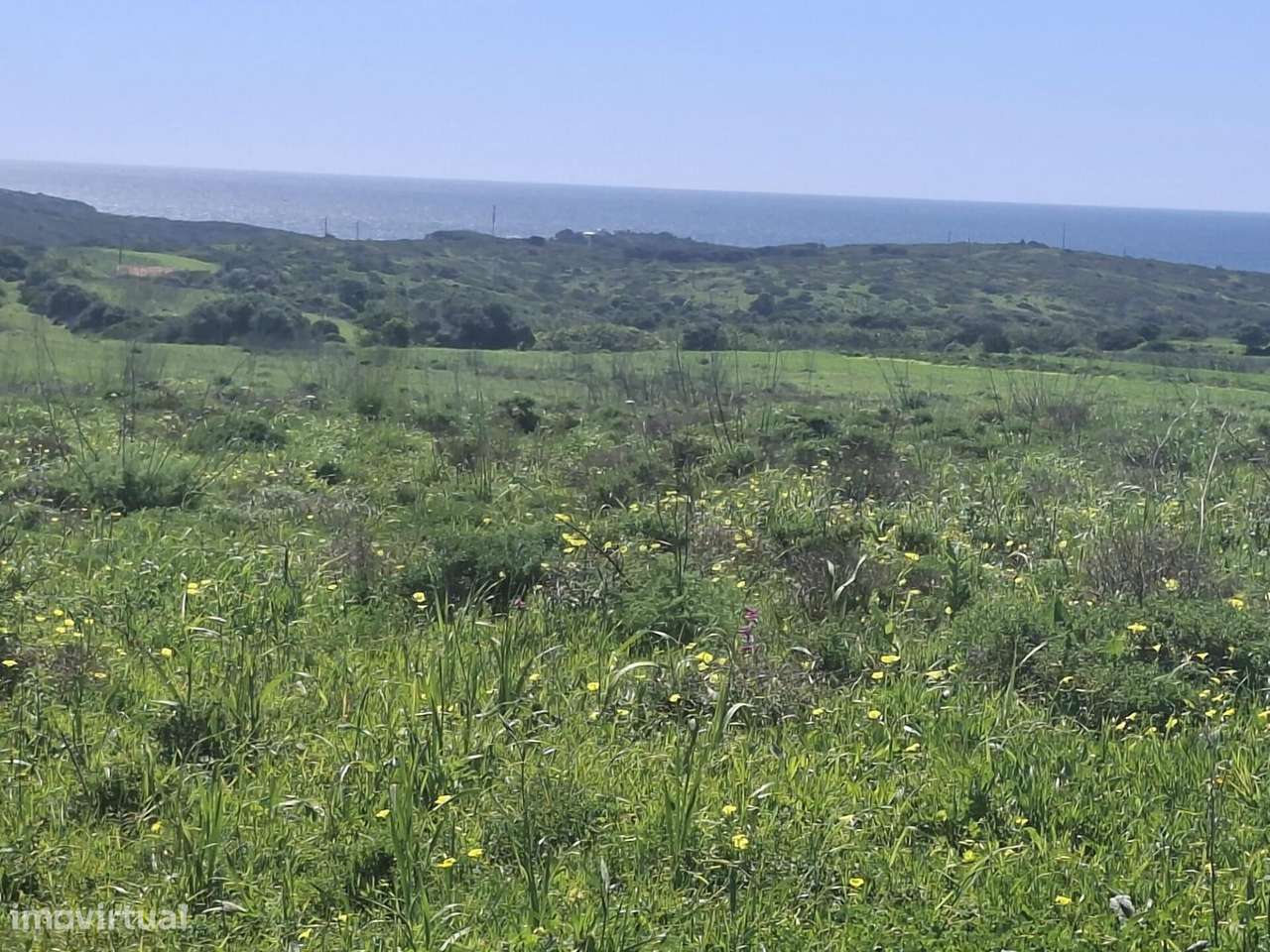 Terrenos Rústicos confinantes nas Hortas de Tabual - Grande imagem: 5/19