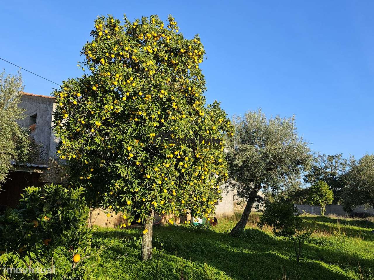 Quinta com construção - Grande imagem: 5/32