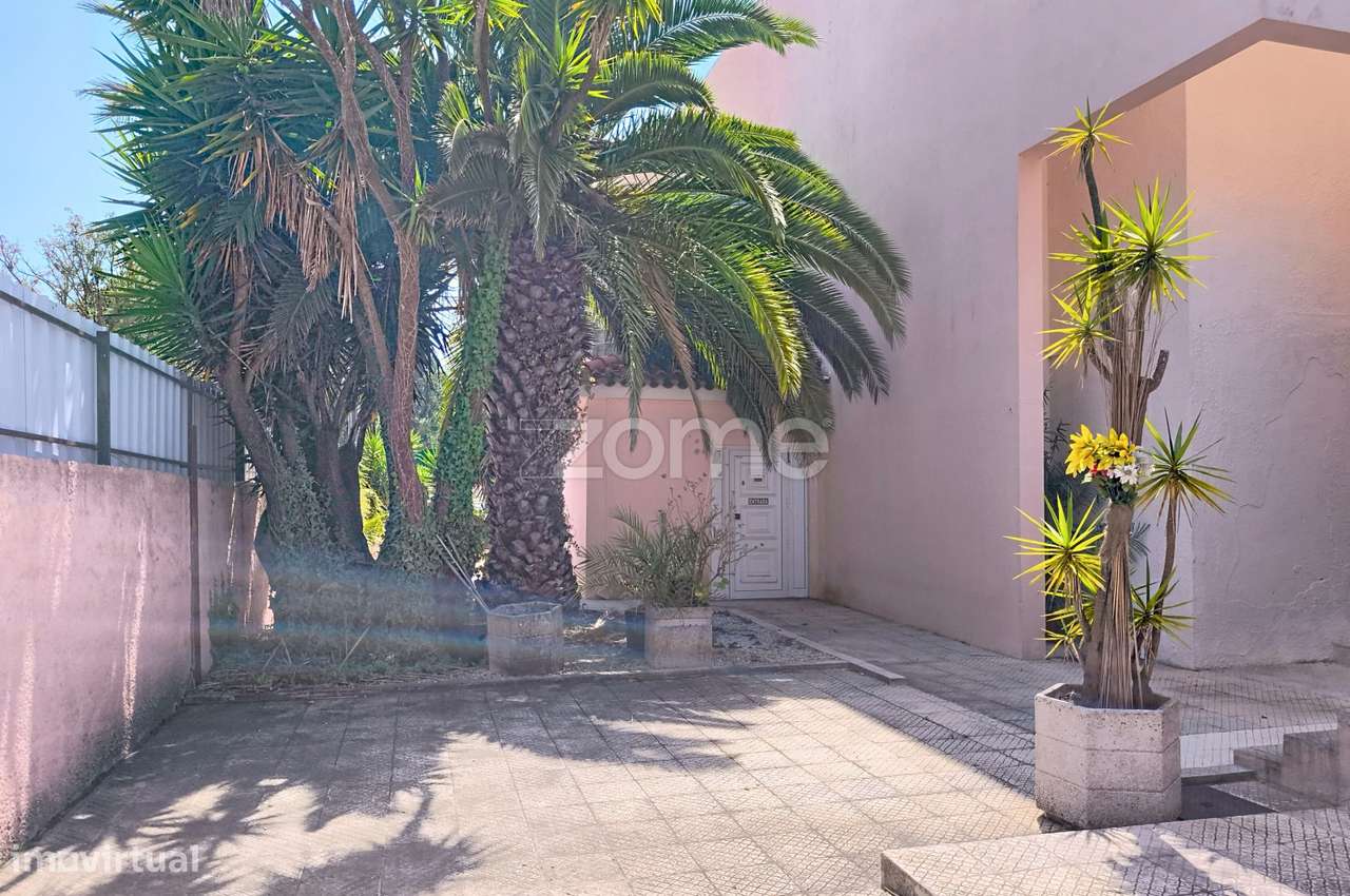 Comércio | 2145m2 de terreno | Esgueira | - Grande imagem: 5/57