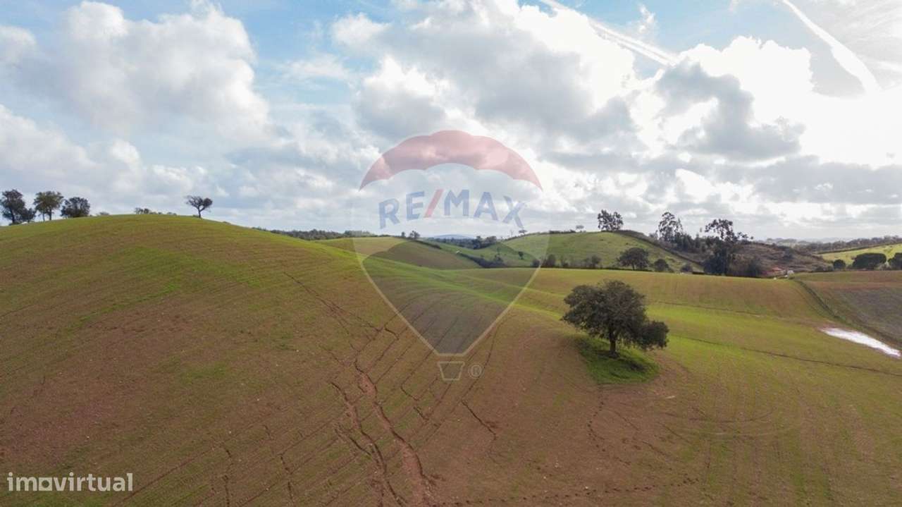 Terreno  para venda - Grande imagem: 4/19