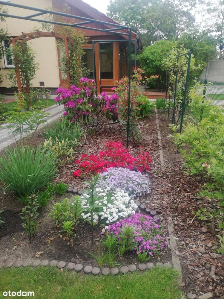 Dom całoroczny na działkach ROD Poznań do zamieszkania wysoki standard - Pełny obrazek: 3/20