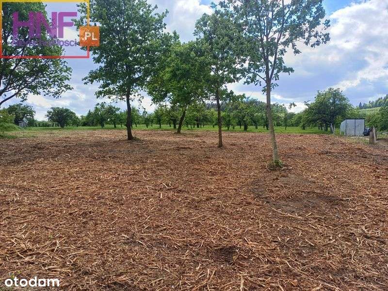 działka budowlana 23ar Czarny Potok gm.Łącko - Pełny obrazek: 5/13