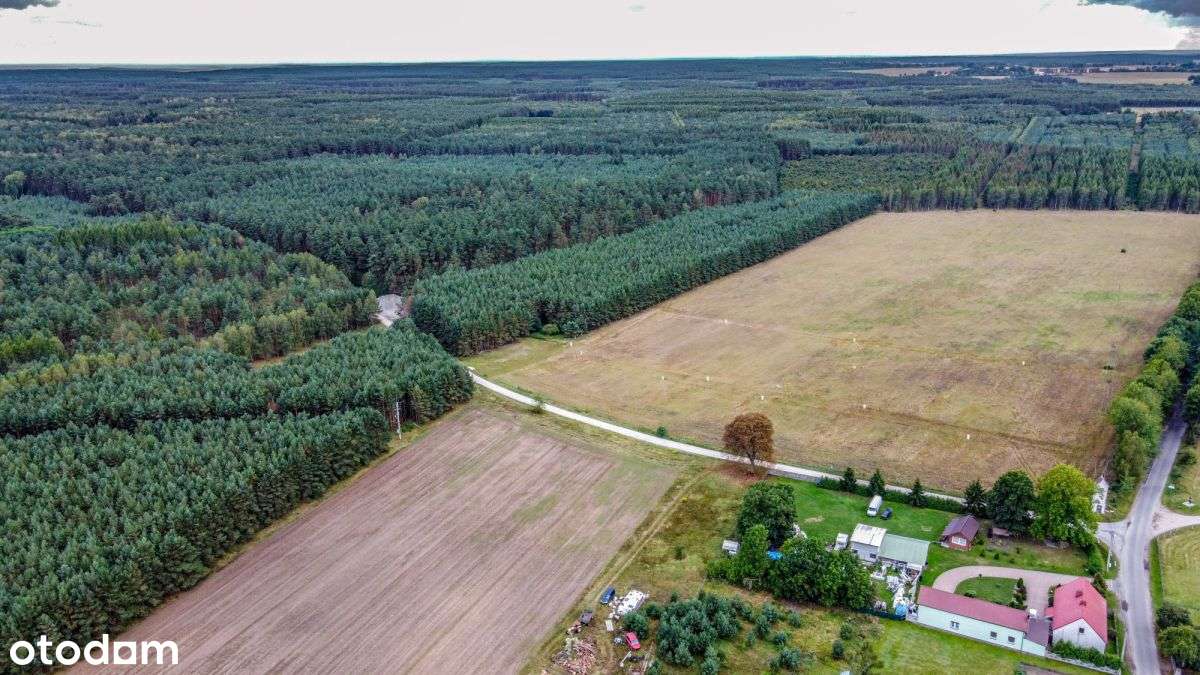 Działka 2 Ha w dobrej cenie-3