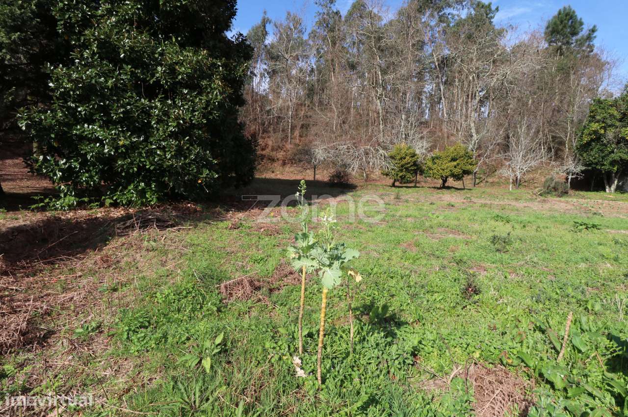Terreno Rústico urbanizável com 4580m2 em Vale, Arcos de Valdevez - Grande imagem: 5/18
