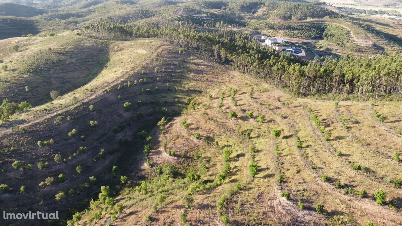 Terreno de 15,6 hectares em Sabóia, Odemira