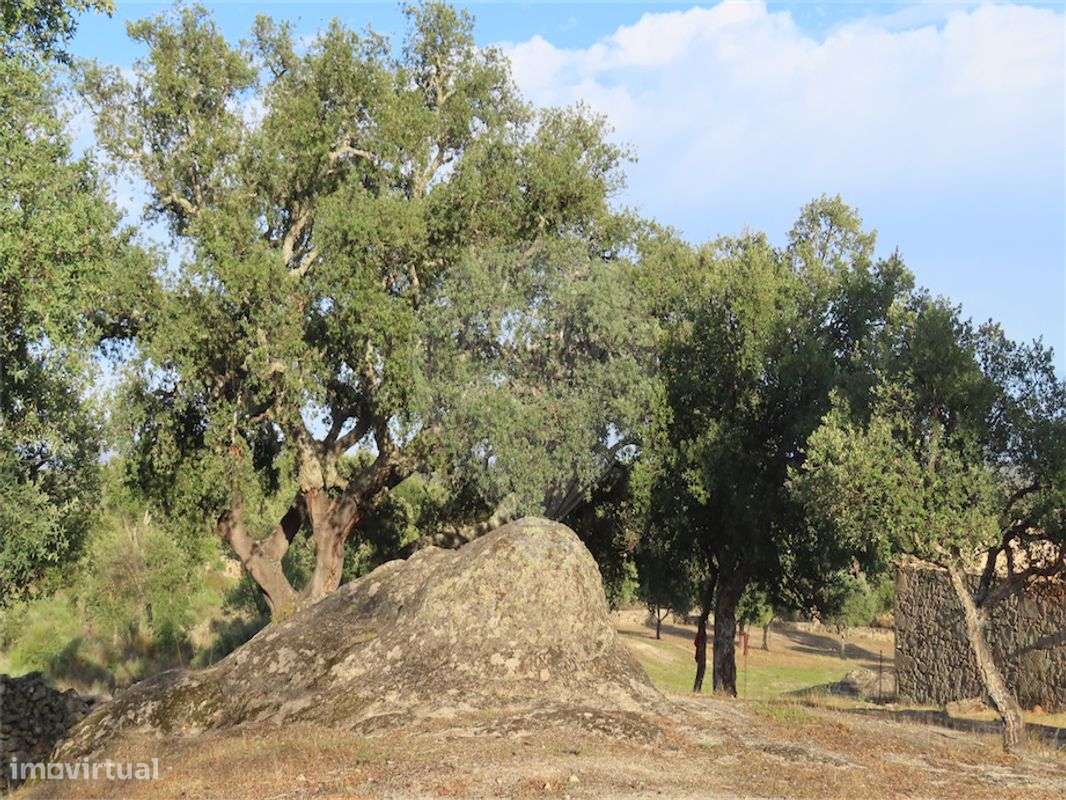 Quinta  para venda - Grande imagem: 3/30