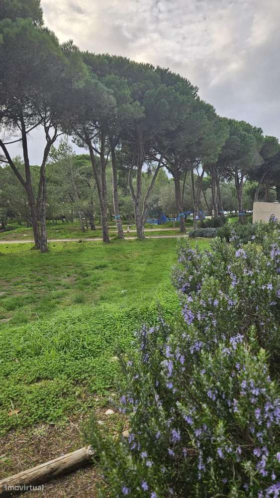 Moradia com Projeto de Ampliação Aprovado no centro da Aldeia de Juzo - Grande imagem: 5/24