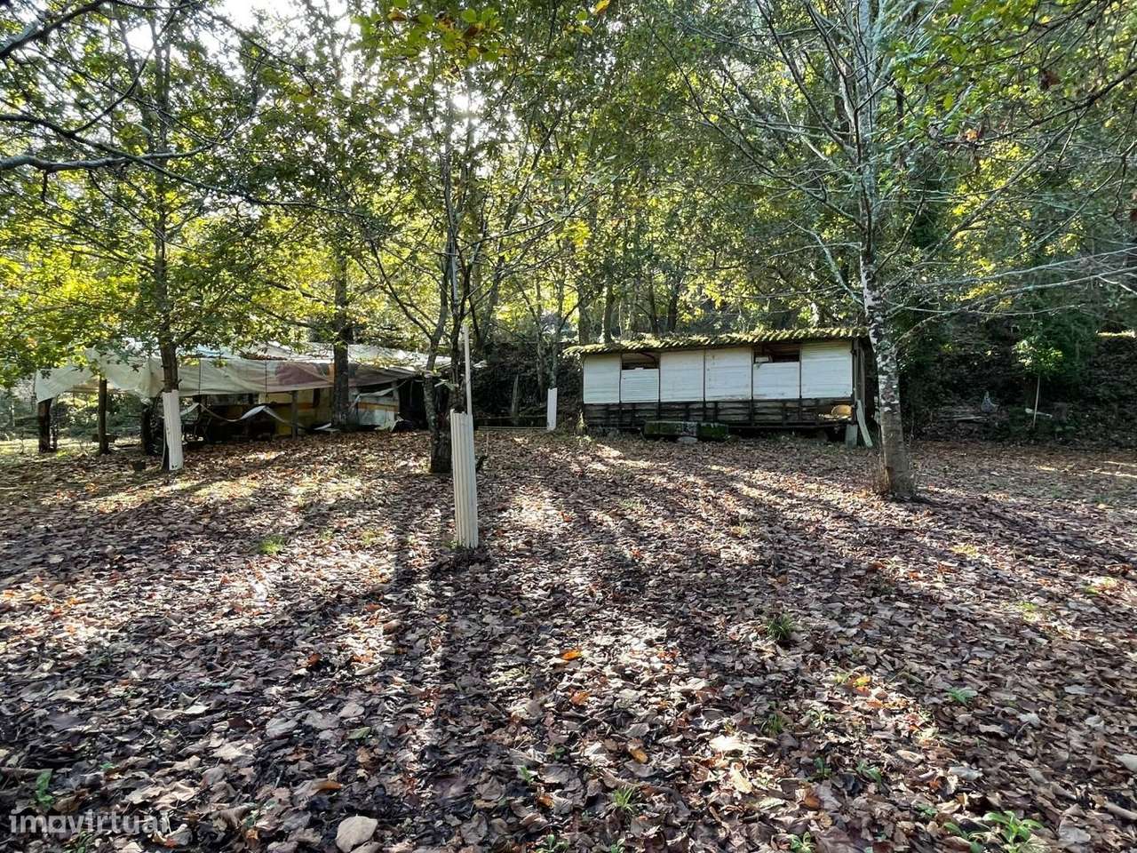 Quinta com casa para recuperar junto a ribeiro-5