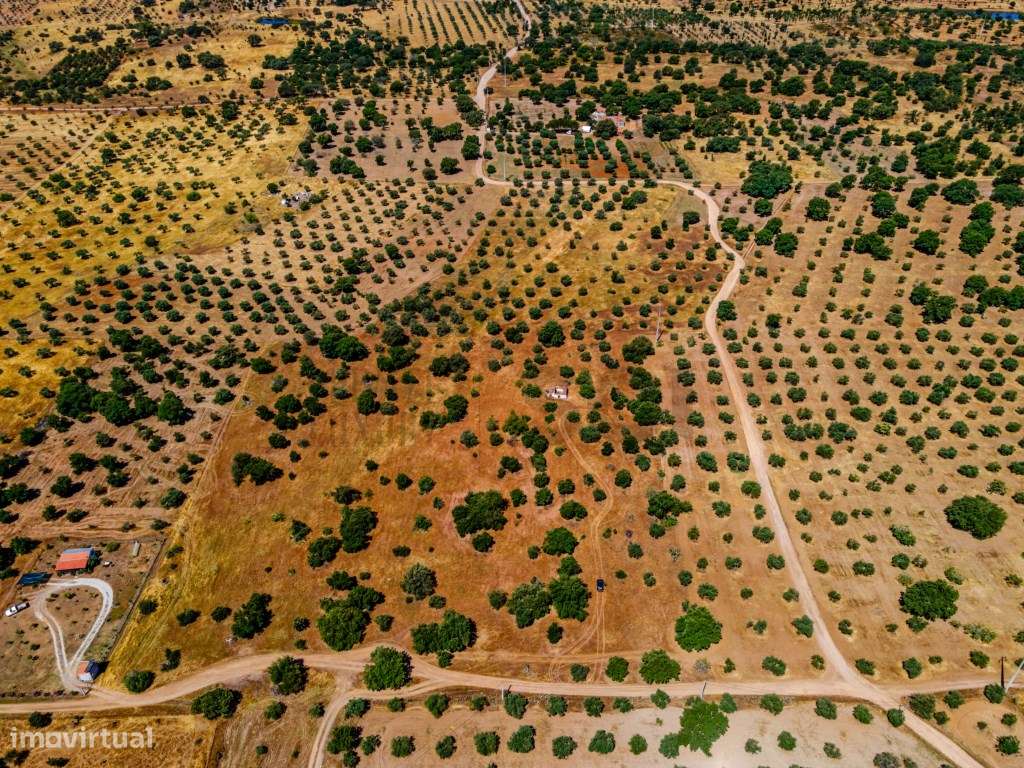 Quinta em Vila Nova de São Bento, com uma ruina para ser recuperada... - Grande imagem: 3/25