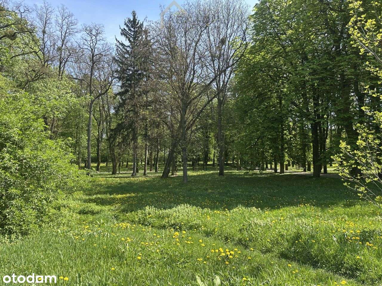 Unikatowa nieruchomość-13