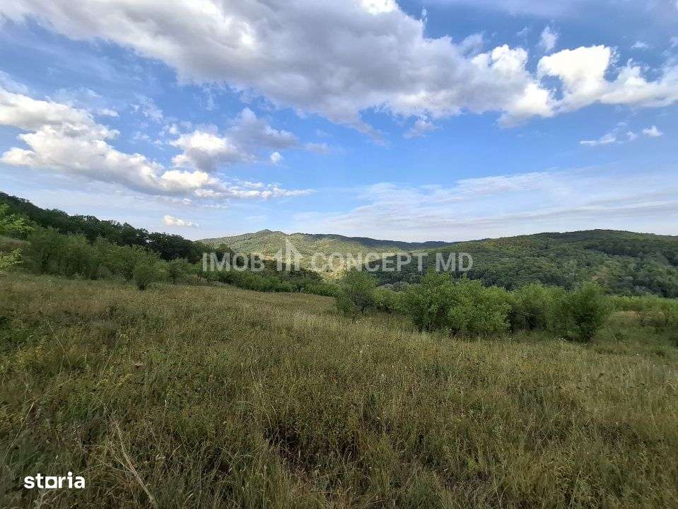 Teren spectaculos cu padure, livada si priveliste panoramica in Soimar-5