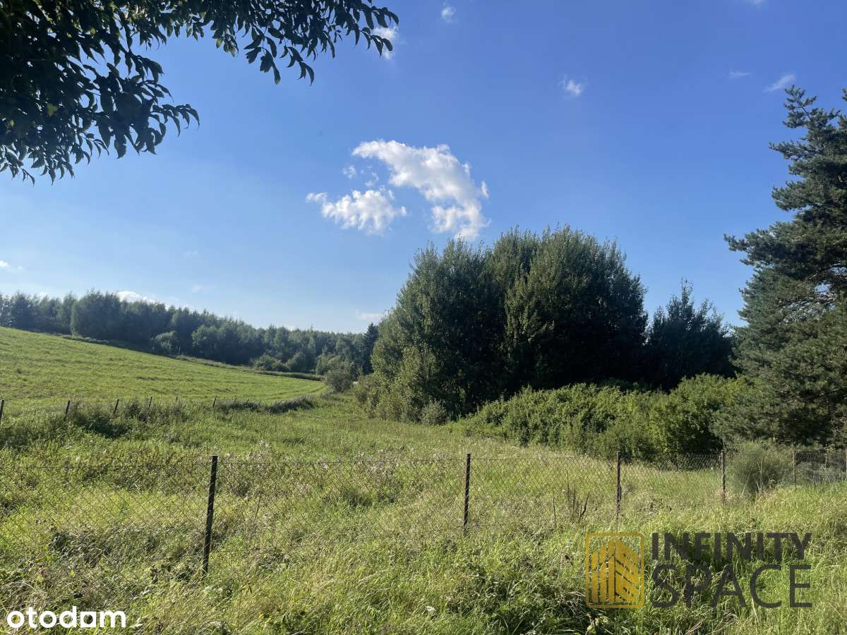 Frombork | Mpzp pod jednorodzinną lub usługi-3