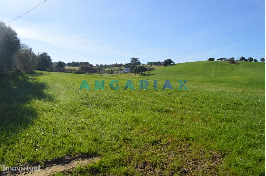 ANG159 - Terreno para Venda em Aveiras de Cima, Lisboa - Grande imagem: 5/10