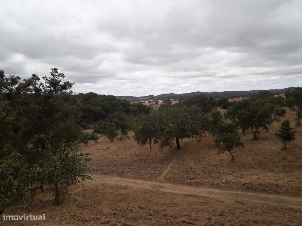Monte Alentejano Venda Odemira-12
