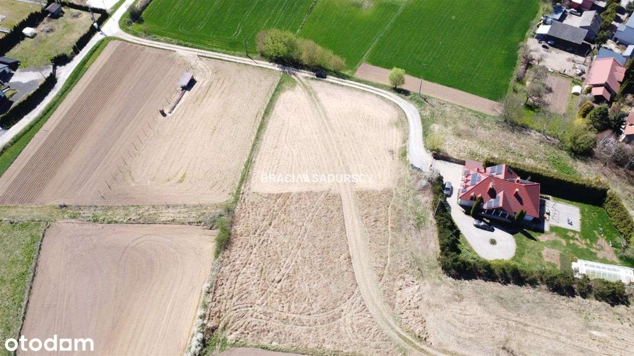 Piękna i duża działka w Książniczkach - budowlana! - Pełny obrazek: 4/6