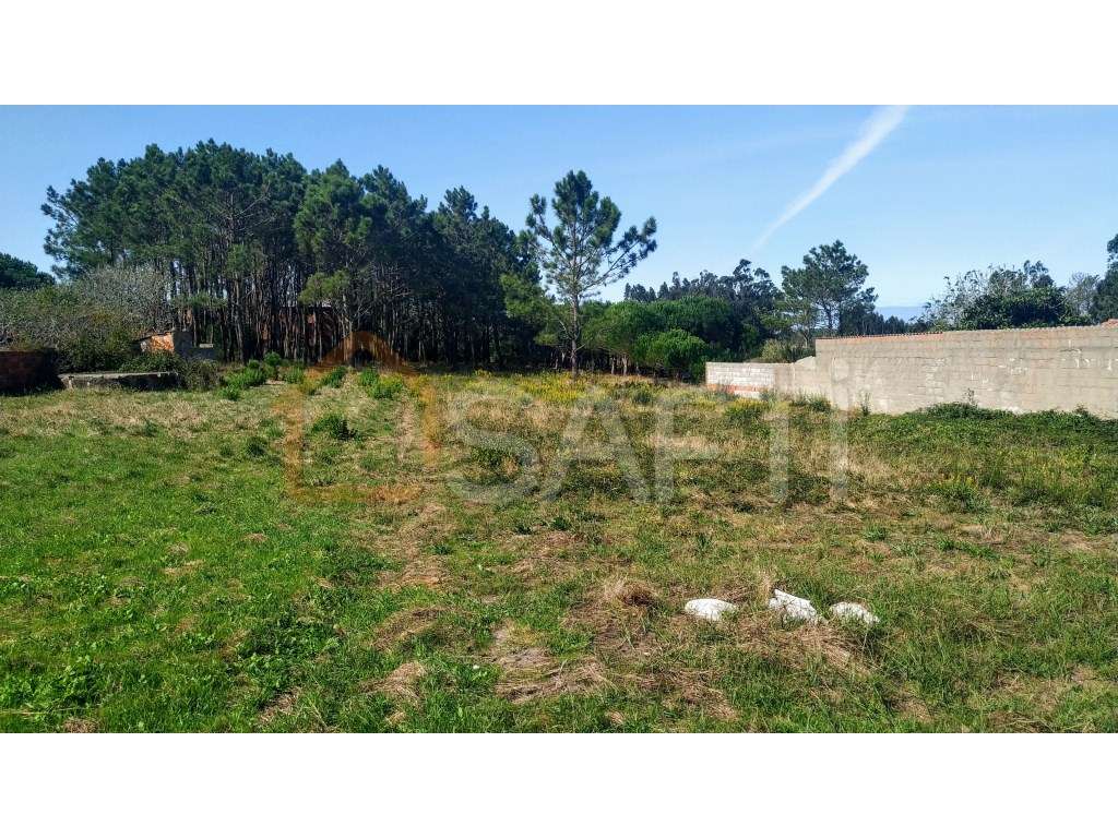 Terreno plano para construção - Grande imagem: 2/15