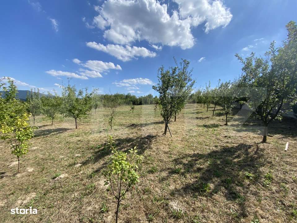 Teren intravilan in Aghires in suprafata de  1500 mp - Imagine principală: 4/8