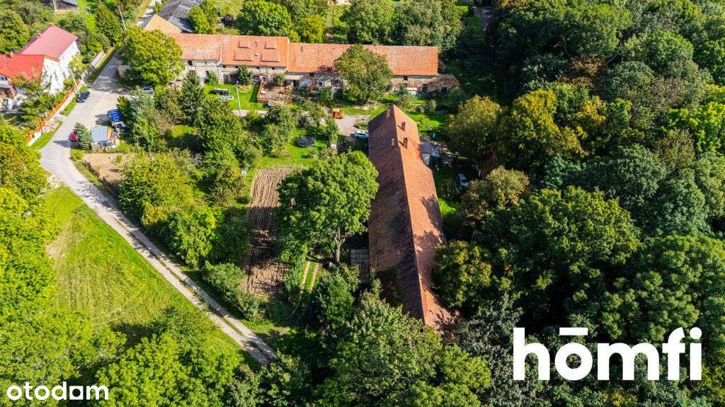 Działka pod lasem - dobry dojazd do Wrocławia - Pełny obrazek: 5/18