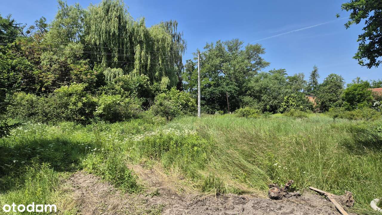 Ostatnia działka na sprzedaż, w pełni uzbrojona-bezpośrednio - Pełny obrazek: 4/6
