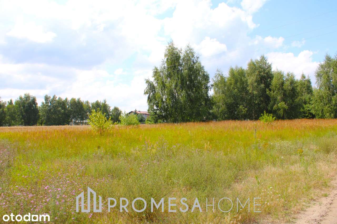 Kosewo działki budowlane las Jezioro Powidzkie SUPER CENA !! - Pełny obrazek: 5/6