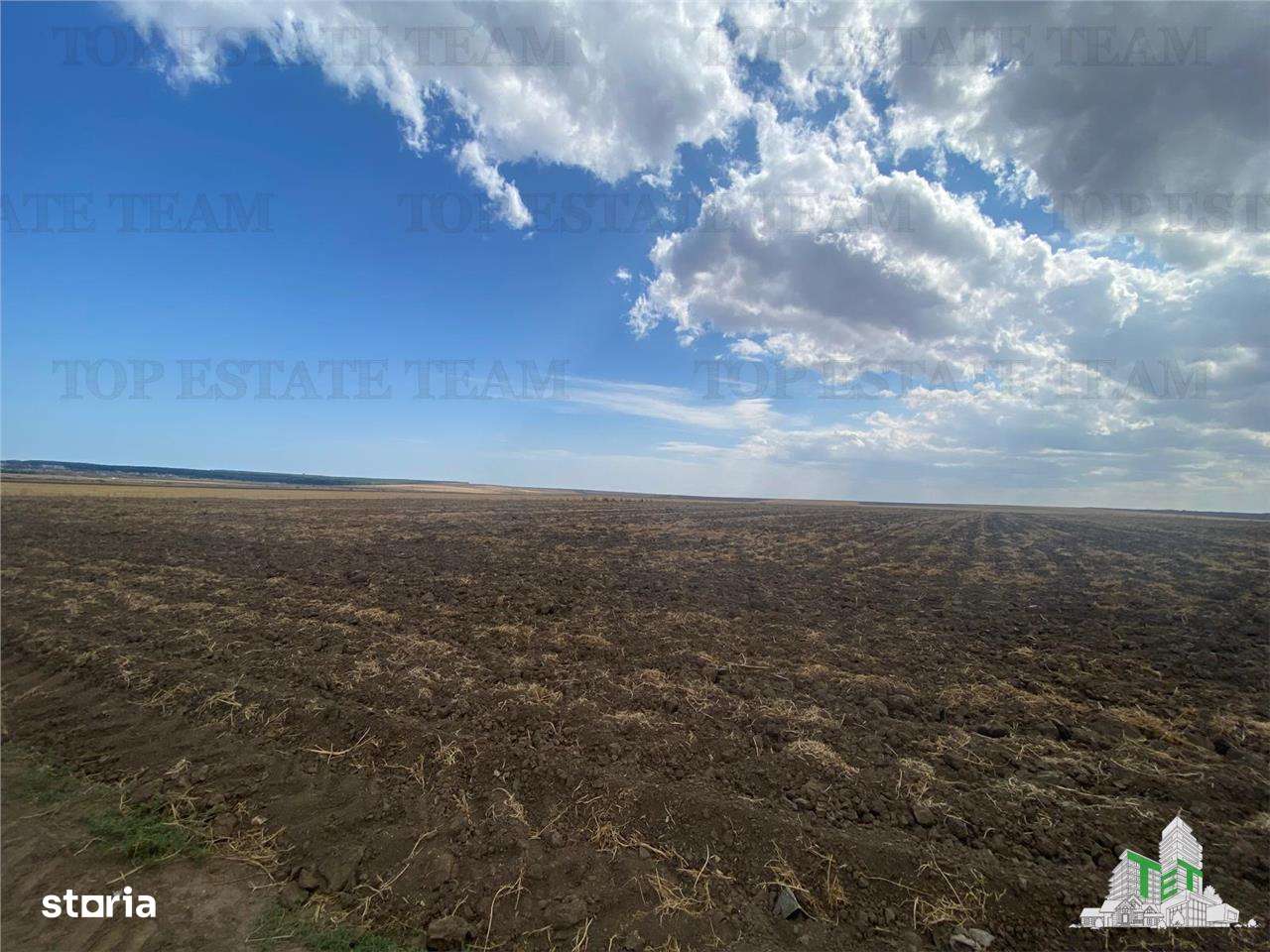 Teren extravilan in Mihail Kogalniceanu, Constanta - Imagine principală: 4/7