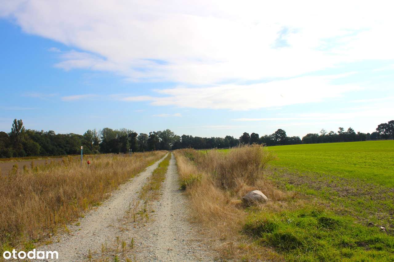 działka 837m2 2 km od granic Środy Wlkp. front 24m - Pełny obrazek: 3/3