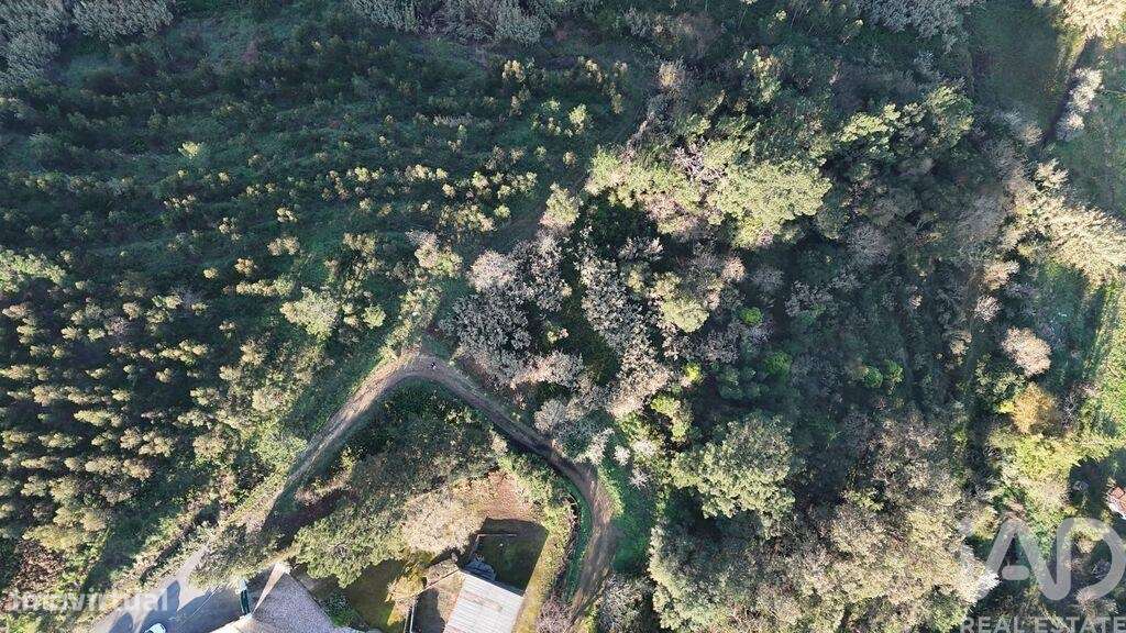 Terreno Agrícola em Mafra - Grande imagem: 4/40