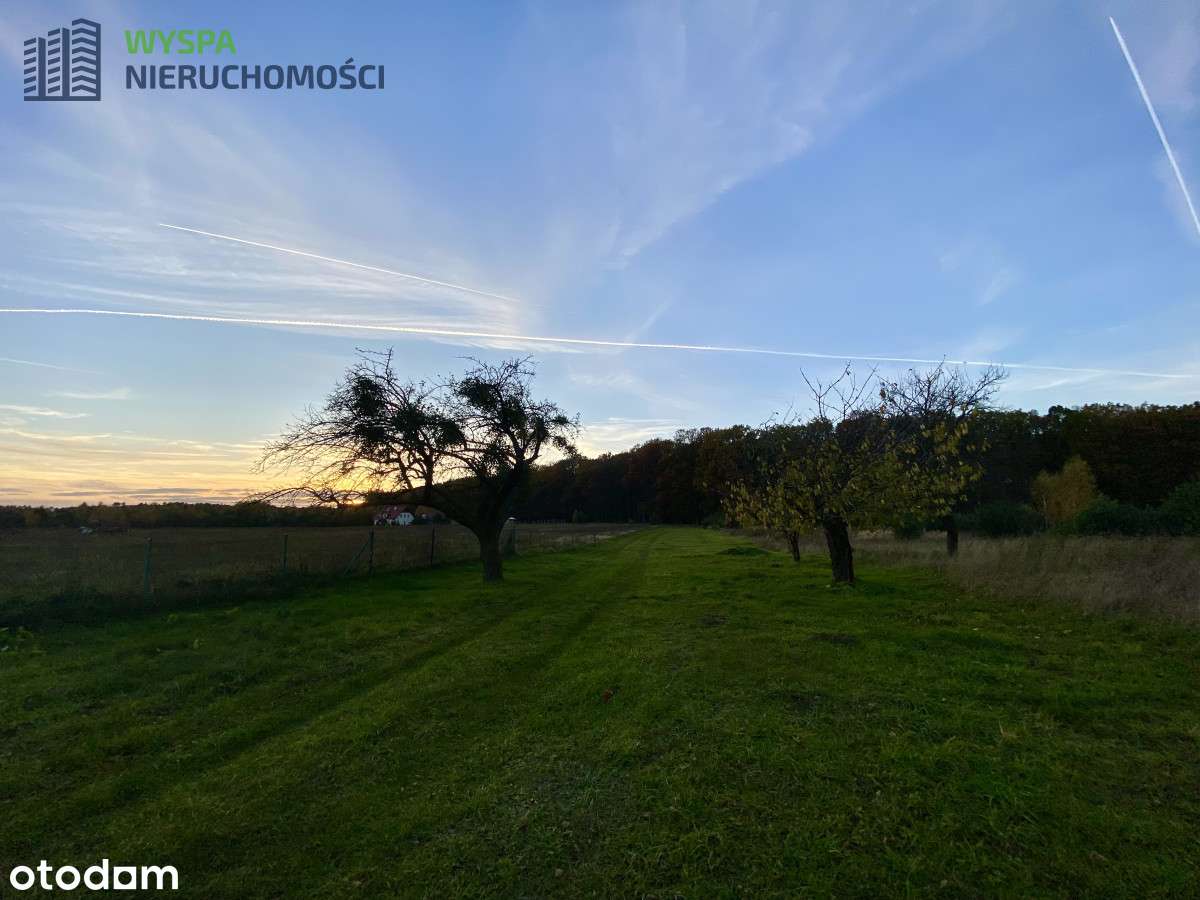 Działka 7718m²|Budynki gospodarcze| Blisko jezior-17